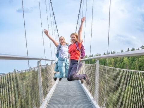 Hängebrücke Wildline