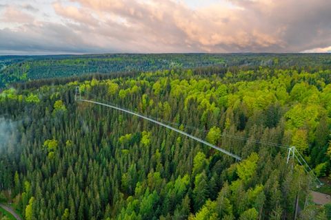 WILDLINE Suspension Bridge