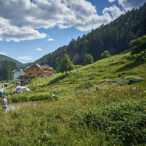 Blick in den Nord Schwarzwald